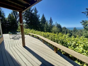 Outdoor dining - Stunning Custom Cabin in the woods; Mountain and Ocean Views! (Brookings)