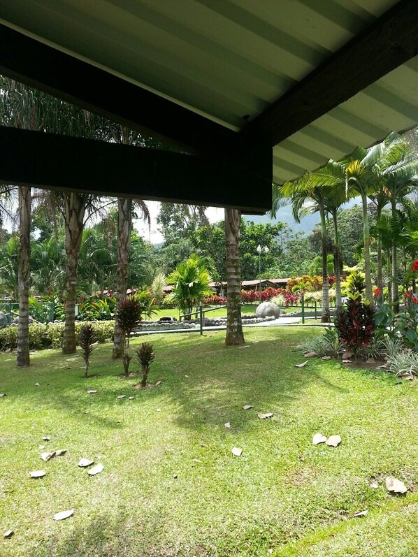 Property grounds - Casa Barbara Lake View Property Surrounded by Nature Peaceful and Private (Rio Piedras)