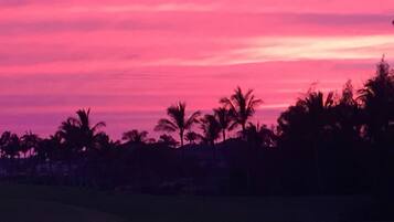 A sunset with a pink sky and silhouettes of palm trees.