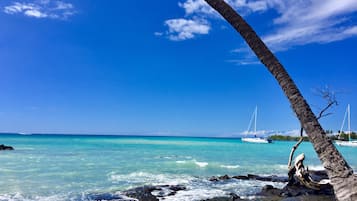 Playa en los alrededores, camastros y toallas de playa