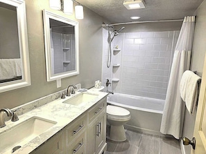Combined shower/tub, hair dryer