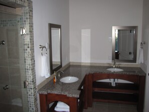 Combined shower/bathtub, jetted bath, hair dryer, towels