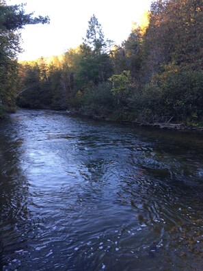 Miscellaneous - Boardman River Cottage, 2 bedroom 1 Bath steps away from the banks of the river (Traverse City)