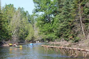 Lake - Boardman River Cottage, 2 bedroom 1 Bath steps away from the banks of the river (Traverse City)