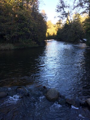 Miscellaneous - Boardman River Cottage, 2 bedroom 1 Bath steps away from the banks of the river (Traverse City)