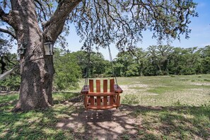 A wooden bench under a tree with a hanging lantern.