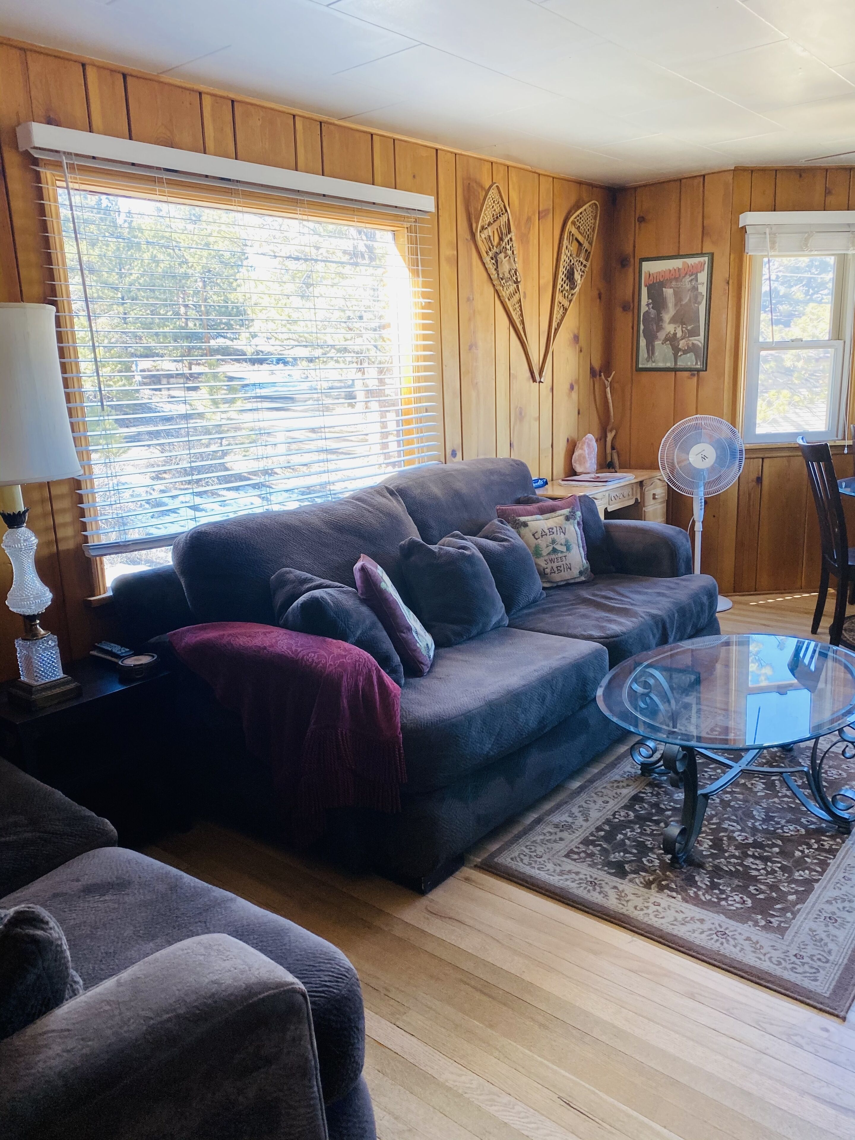 TV, fireplace, books