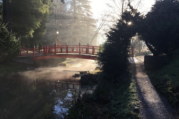 Mingus Park in the morning.