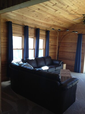 TV, fireplace, video games, DVD player