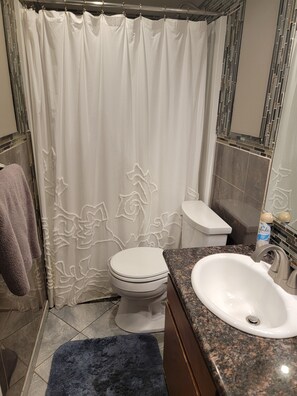 Combined shower/tub, hair dryer, towels, soap - Family Gatherings, Pool Table, Ping Pong, Hot Tub Fun!! (San Diego)
