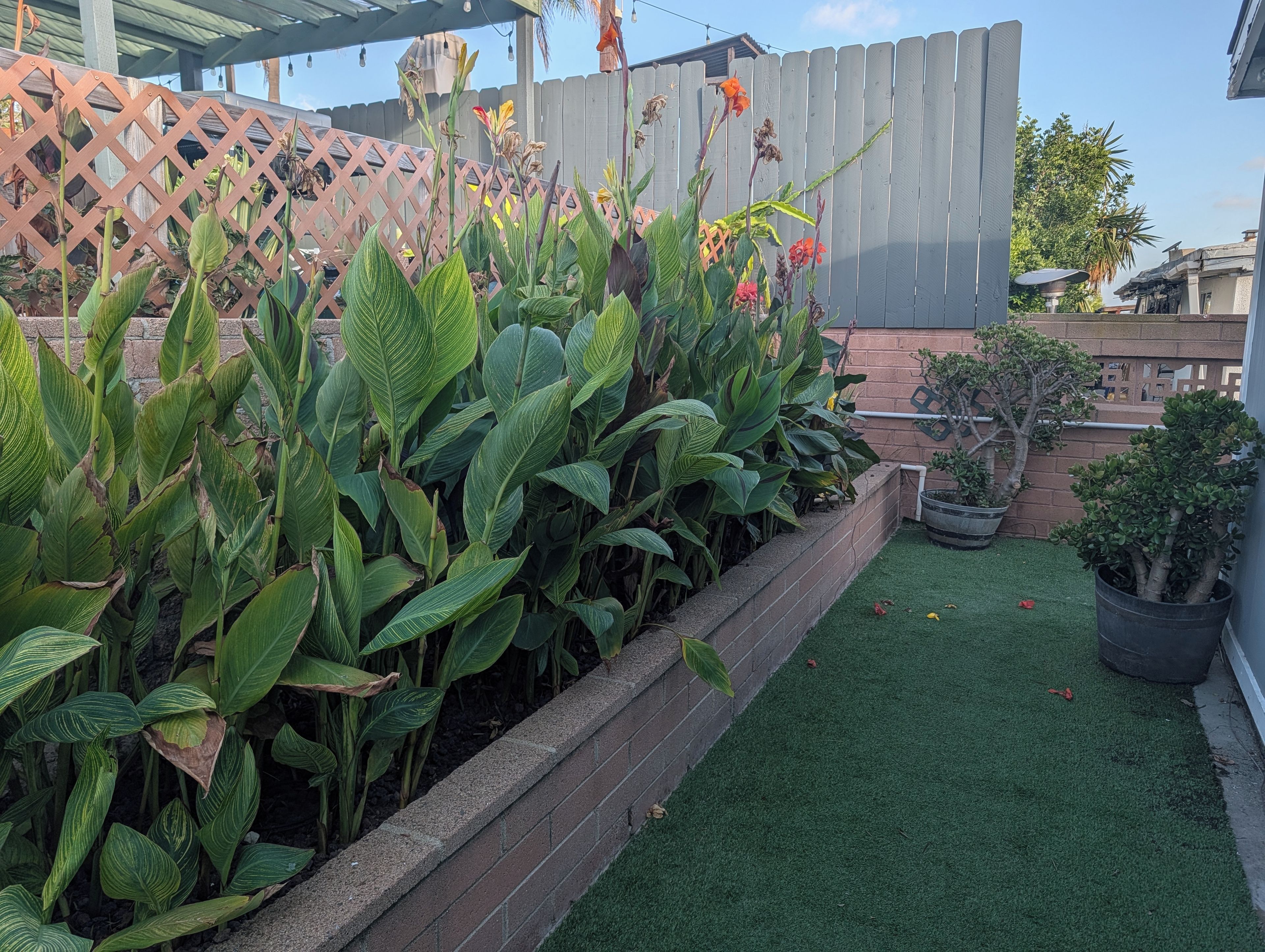 A garden with a variety of plants and a wooden fence.