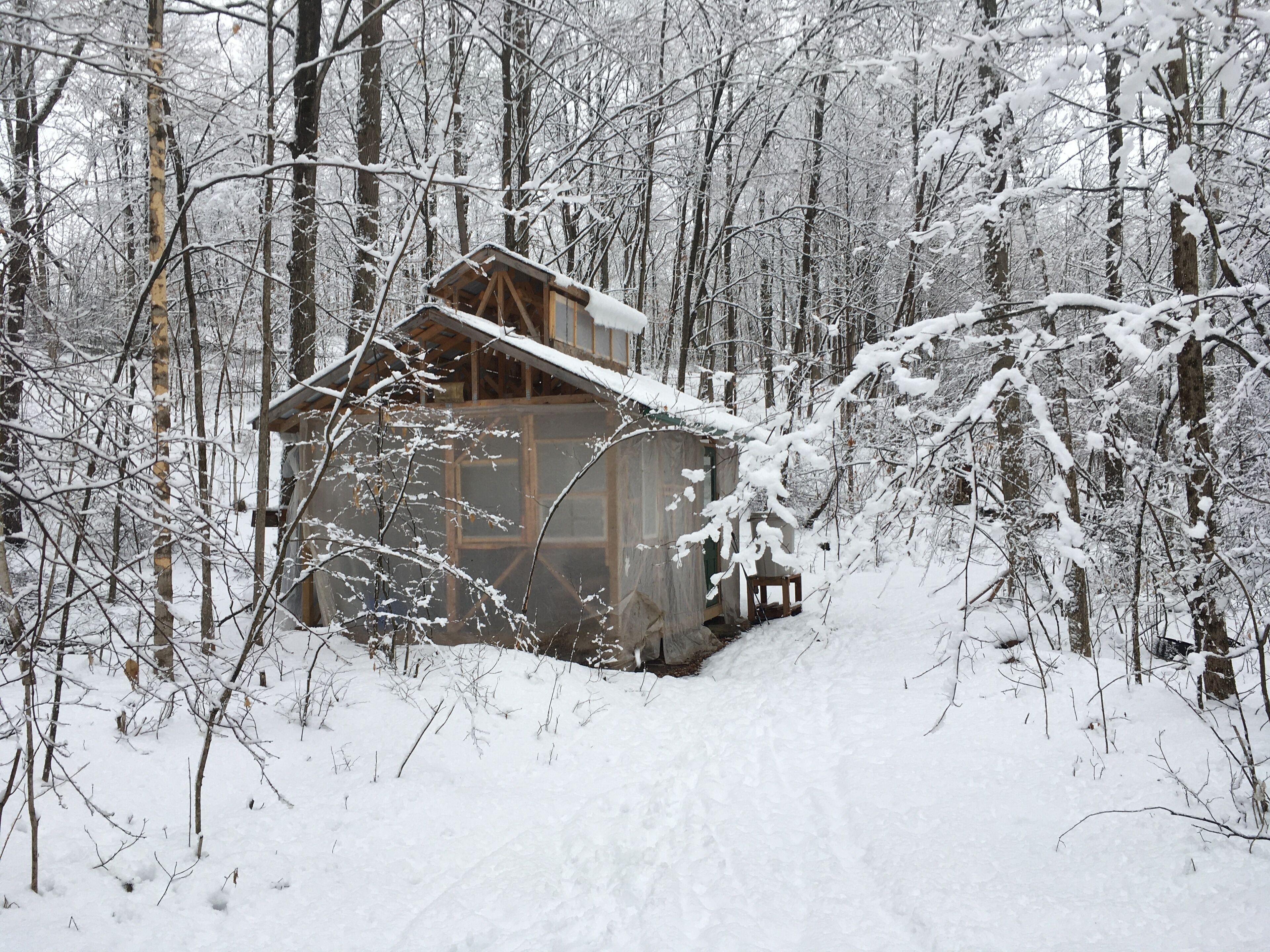Visit the sugar shack in the sugar bush.