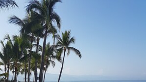 Ein Strand mit weißen Liegestühlen, Sonnenschirmen und Palmen.