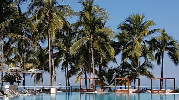 Ein klares, blaues Schwimmbecken mit Palmen im Hintergrund.