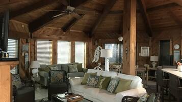 Smart TV, fireplace, books