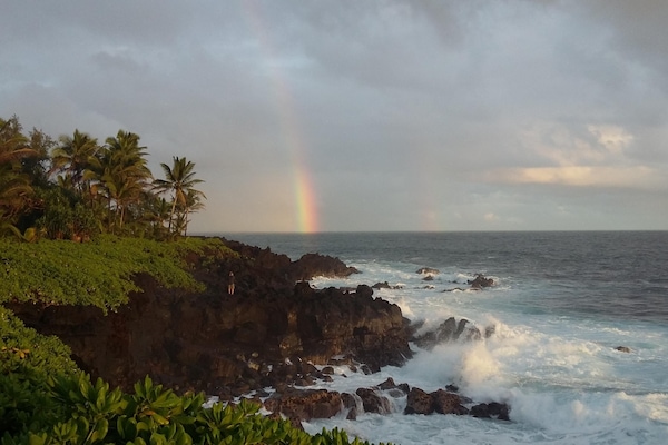 Nearby Morning View from Kahakai Park. A 10 minute walk here from the house.