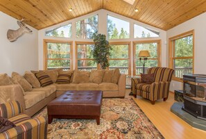 Televisión y chimenea