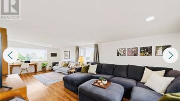 Smart TV, chimenea, reproductor de DVD, libros