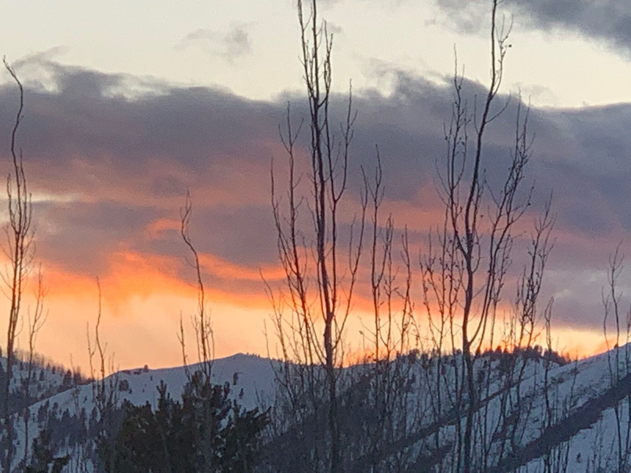 A mountainous landscape with bare trees and a sunset sky.