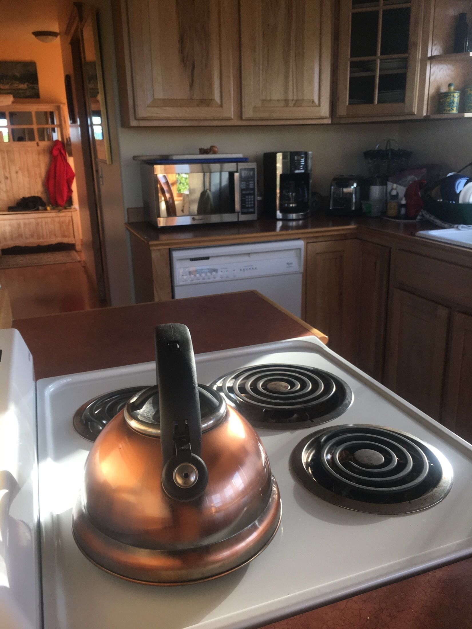  Ocean View Suite Homer Alaska Cafe/Bookshop/Beach