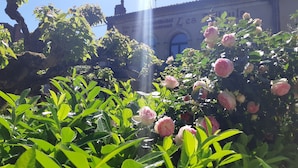 Uklassifisert bilde, 4 av 51, knapp