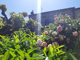Um jardim com flores vibrantes e um edifício com uma placa que diz 'Hotel Restaurant'.