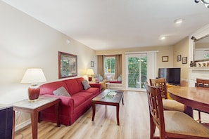 TV, fireplace, video games, DVD player