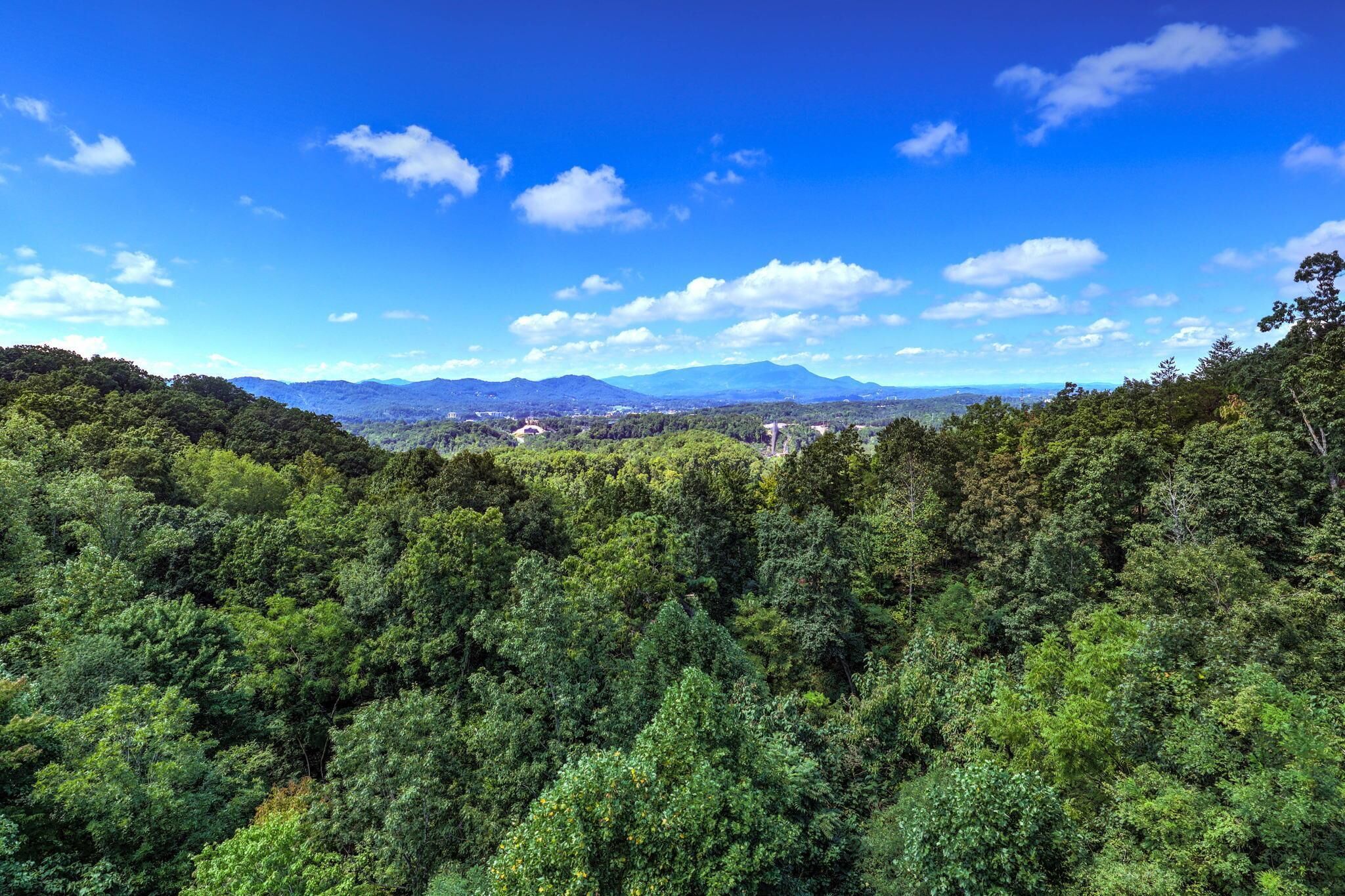 Un paisaje boscoso y denso con vistas despejadas a montañas distantes bajo un cielo azul.