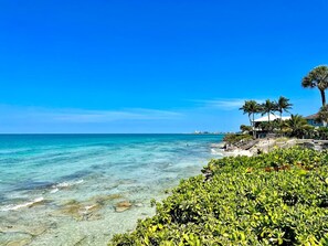 Beach nearby, sun loungers, beach towels - Near beach.   Daily rentals.  Pool.   king bed (Sarasota)