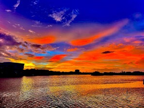 星評価なしの画像、2 / 44、ボタン