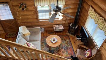 Télévision, cheminée, lecteur de DVD, livres