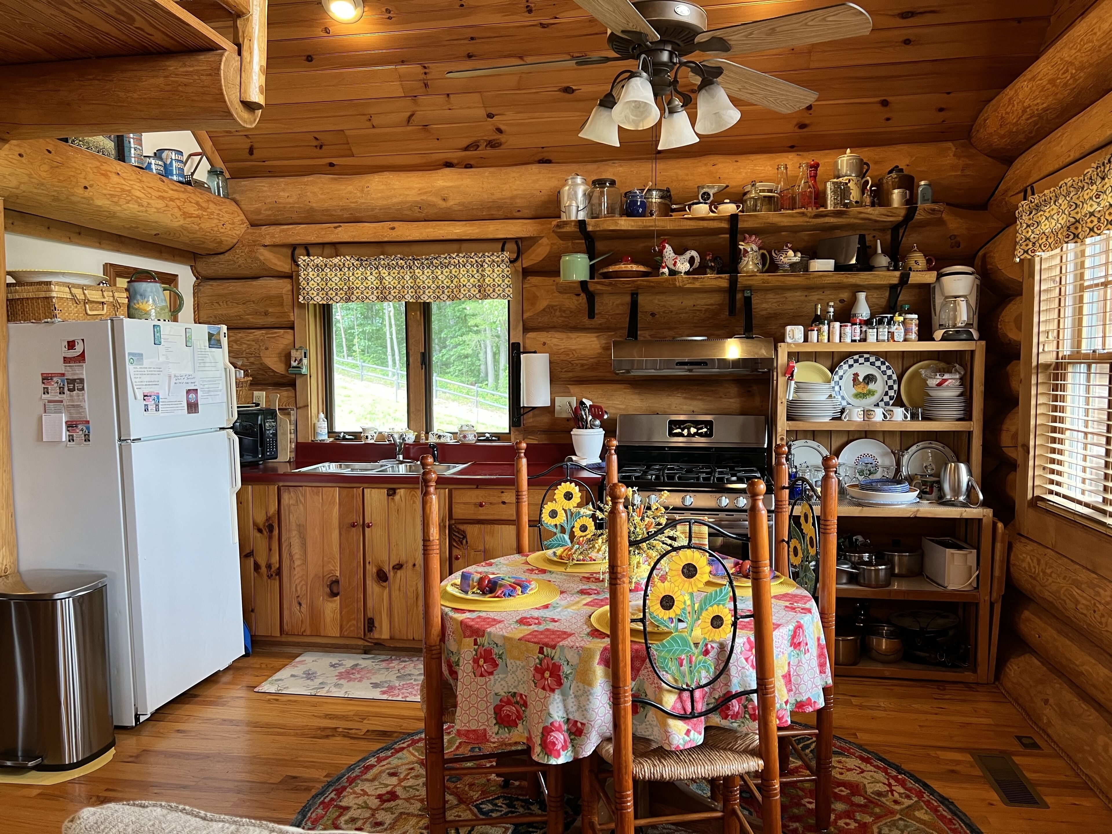 ROMANTIC LOG CABIN MT.VIEWS, 2/1,10 MIN AVL, FP,WiFi,  FIREPIT