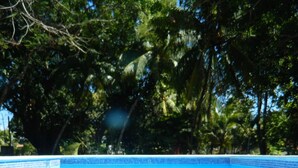 A clear blue swimming pool with tiled edges, surrounded by trees. - Paradise! Beach Rental with Private Pool!! (Esterillos Oeste)