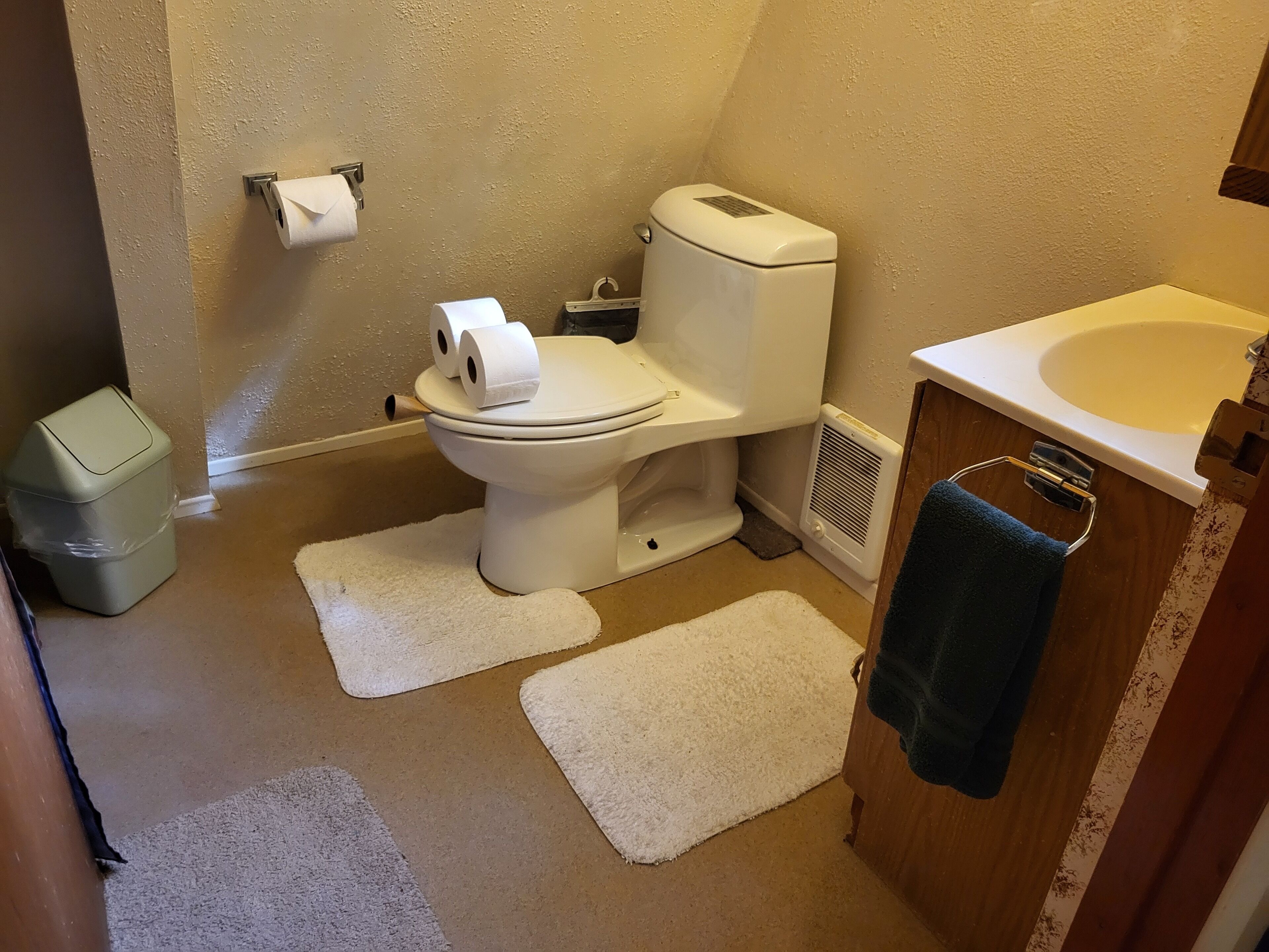 A bathroom with a toilet, a sink, a trash can, and two white rugs on the floor.