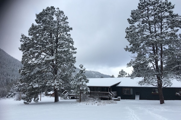 Paradise Ranch back yard borders National Forest