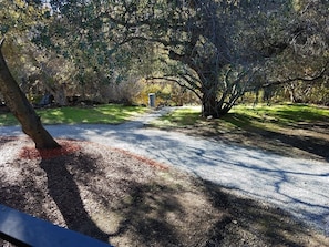 A park with a gravel path, trees, and a bench. - Sequoia River House - 2 Decks on the River, close to SNP,  7 acres  (Three Rivers)