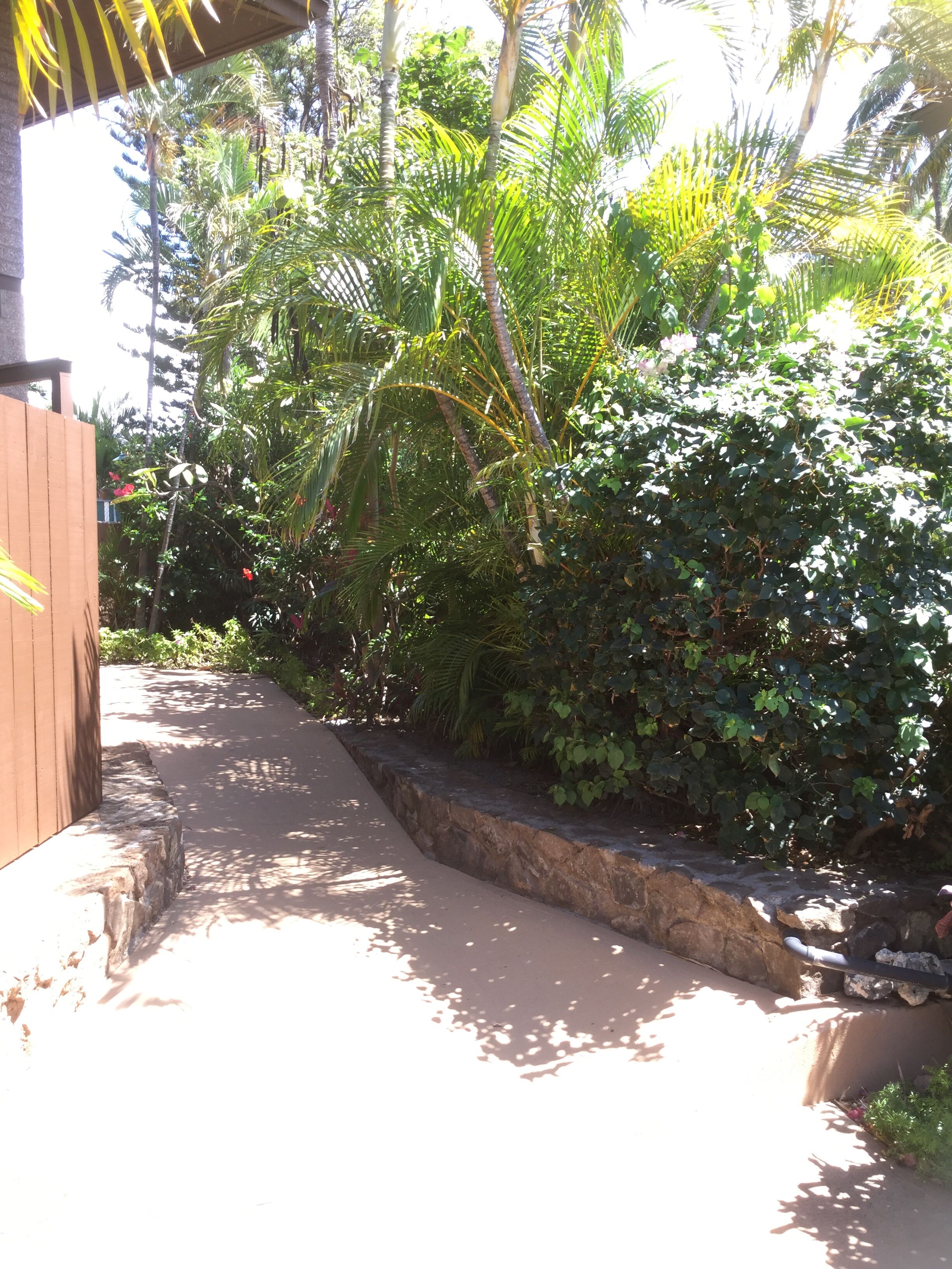 A pathway flanked by dense foliage and a wooden fence, leading to a building with a sloped roof.