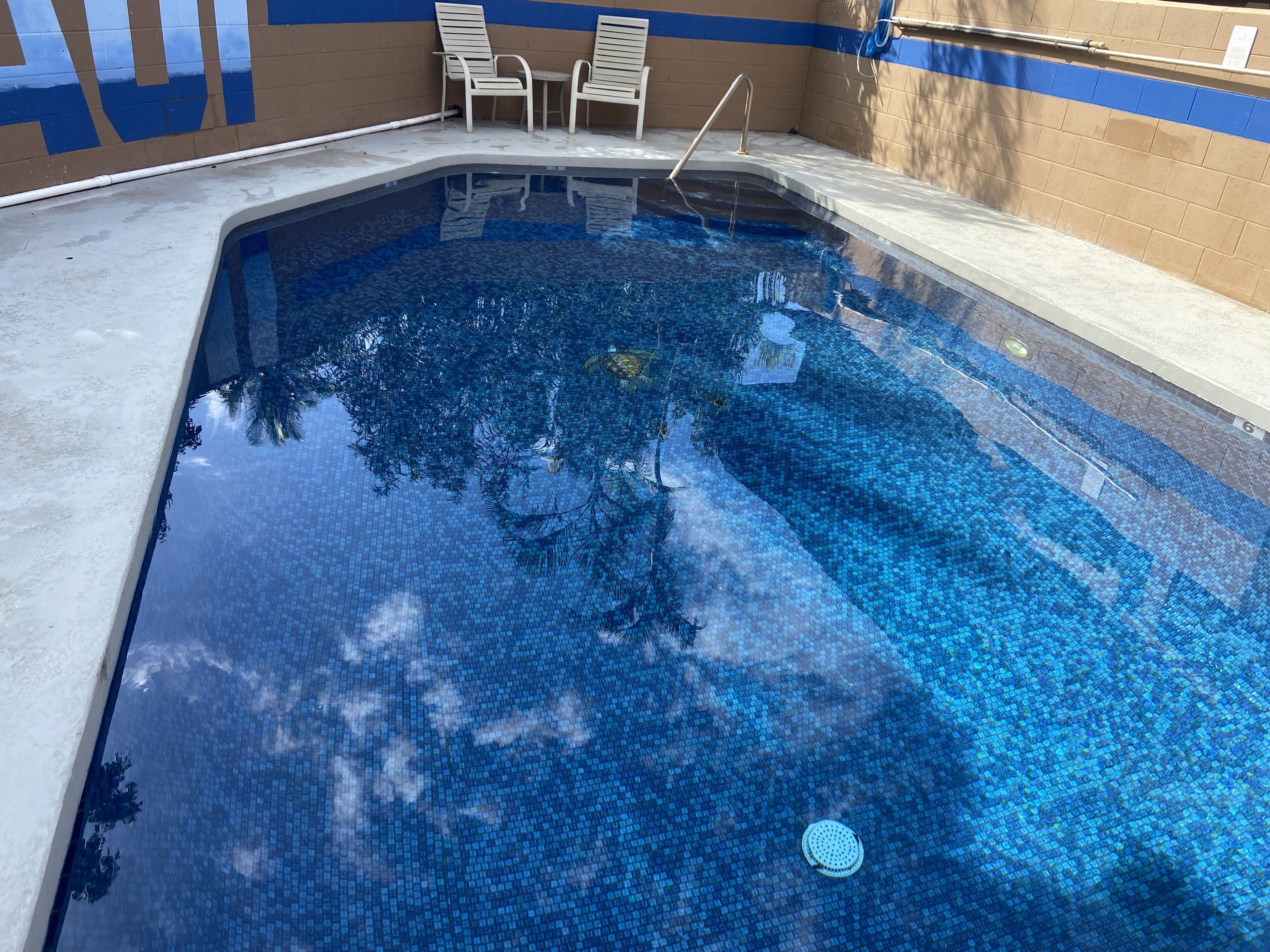 A clear swimming pool with a tiled edge, a metal ladder, and two white chairs.