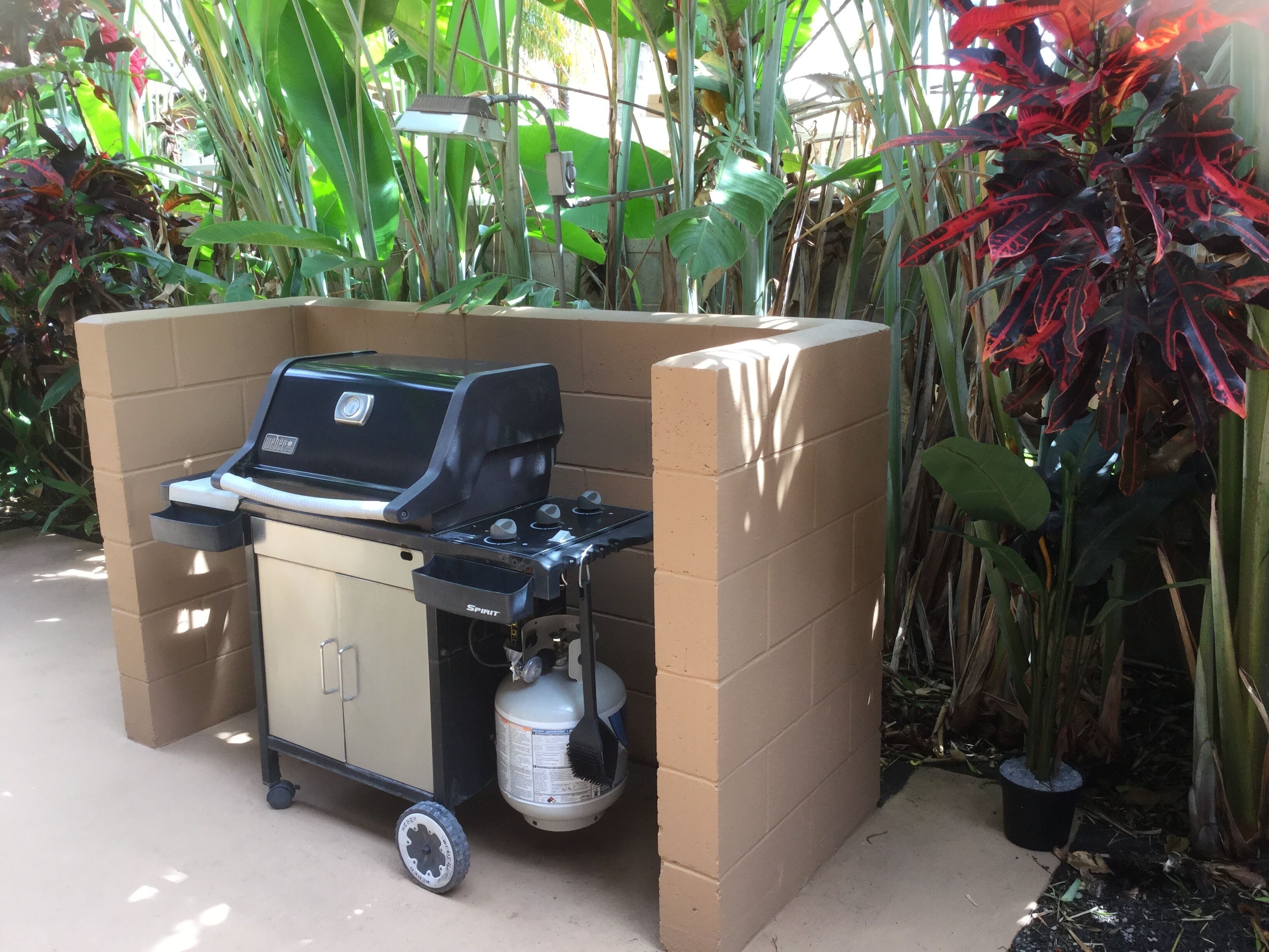 A portable grill with a gas tank and a cart, set against a brick wall with lush green and red plants in the background.