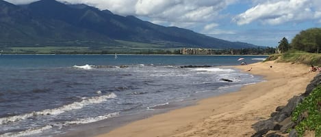 Playa en los alrededores, camastros y toallas de playa