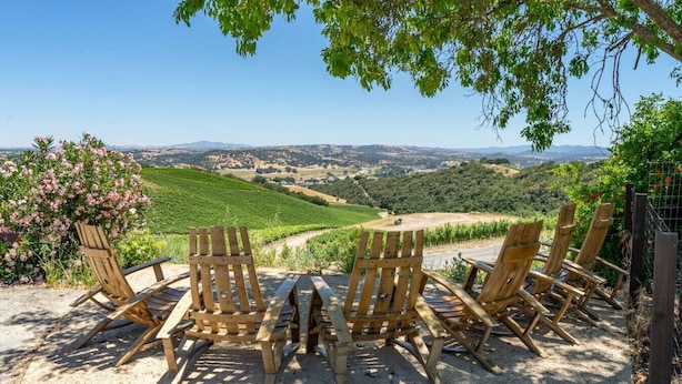 Un espace aménagé avec des chaises en bois et une table, offrant une vue sur un vignoble et les collines au loin.