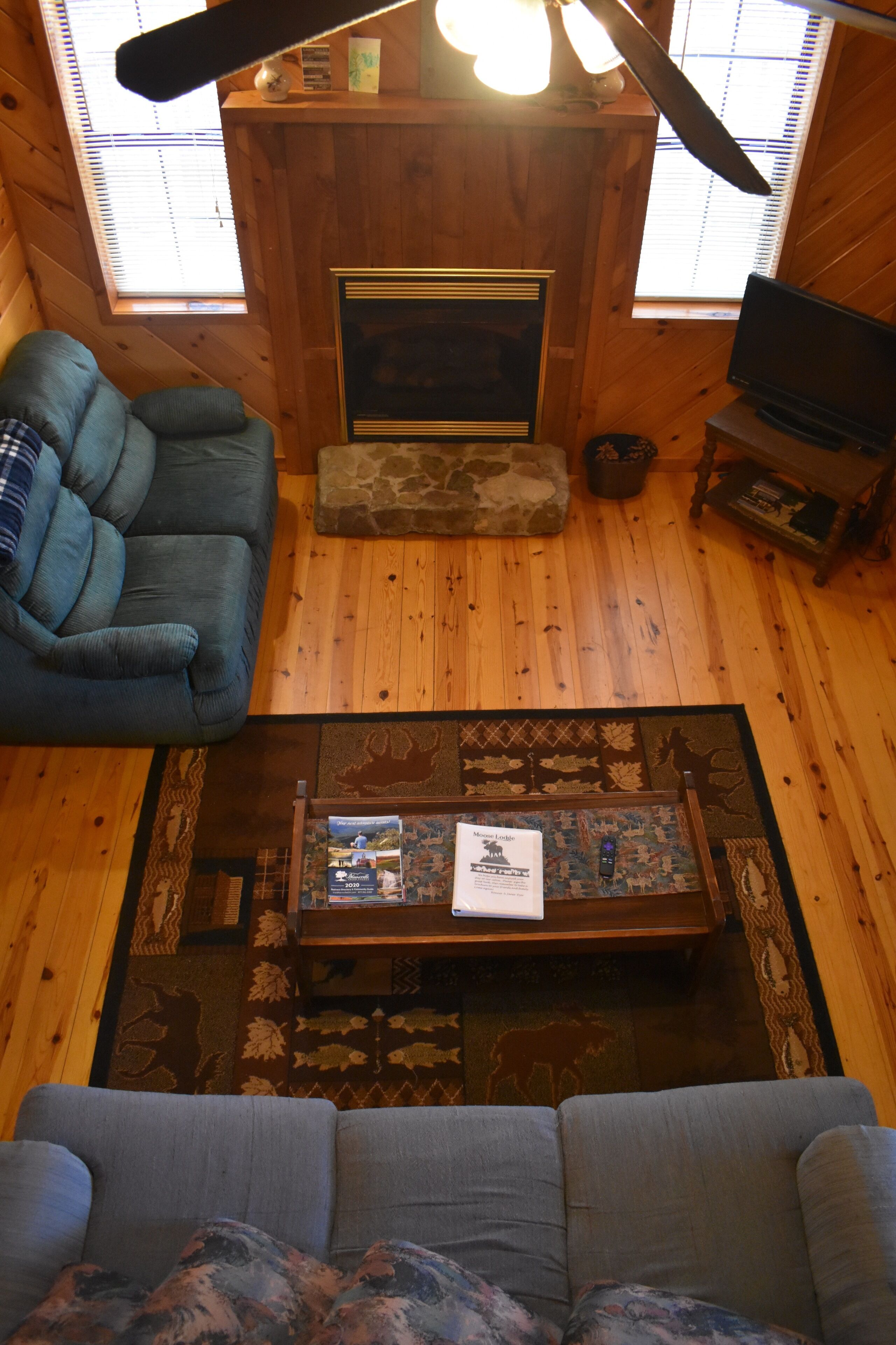 TV connectée, cheminée, lecteur de DVD