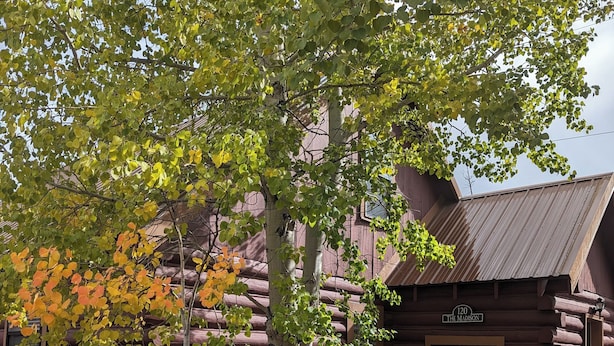 A log cabin with a sign reading "120 The Madison." - Rustic Charm Meets Modern Comfort, Steps from Yellowstone's West Entrance (West Yellowstone)