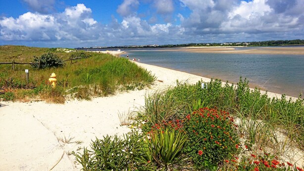 A beach with a yellow fire hydrant, sandy shore, and green vegetation. - Perfect for multi-family gatherings! (Oak Island)