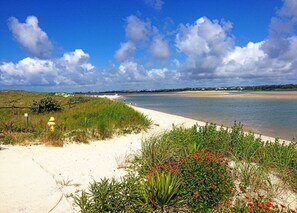 A beach with a yellow fire hydrant, sandy shore, and green vegetation.
