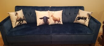 Horsing Around In The Barn (Pet friendly)