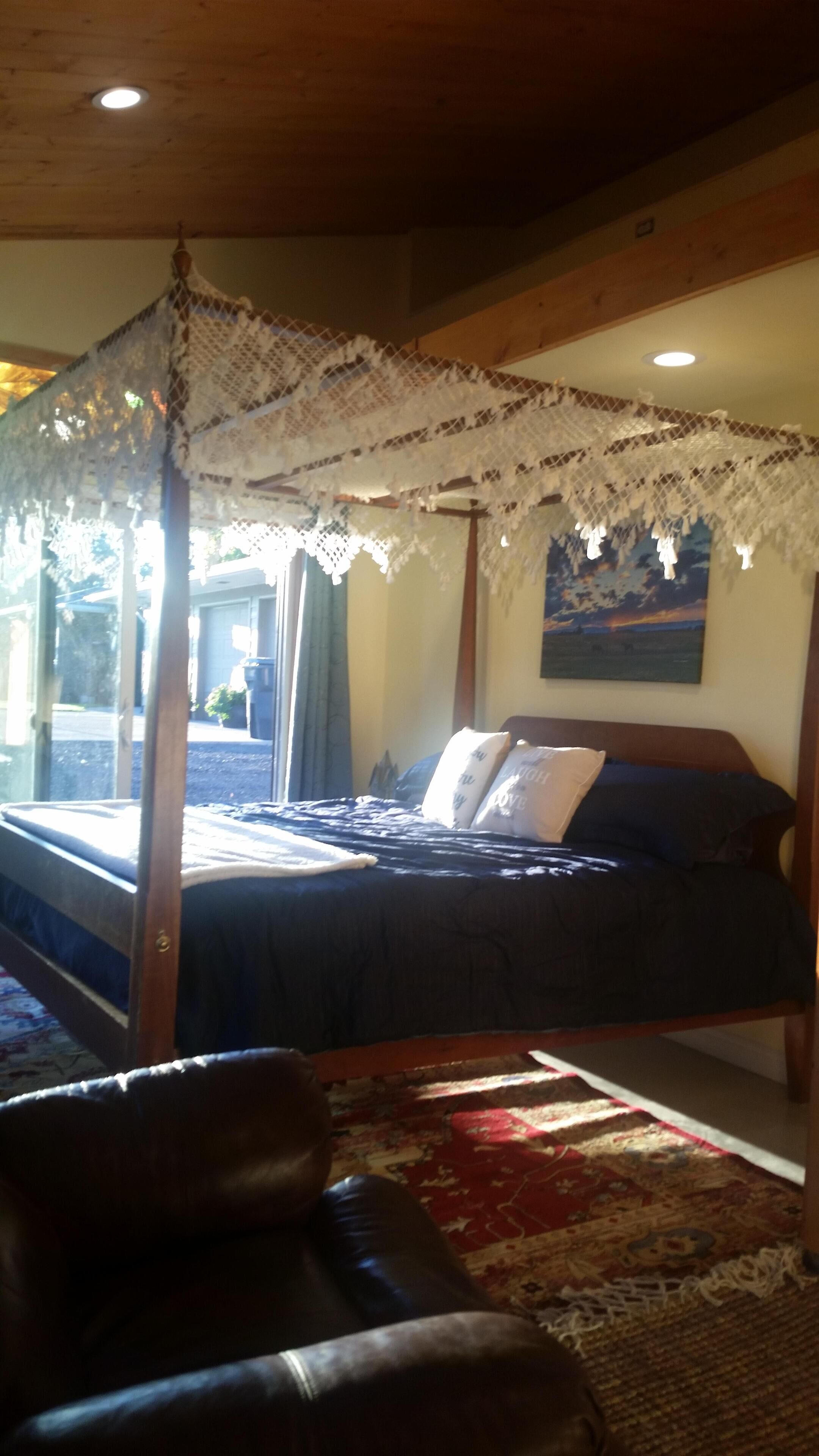 Horsing Around In The Barn (Pet friendly)