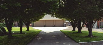 Horsing Around In The Barn (Huisdieren toegestaan)