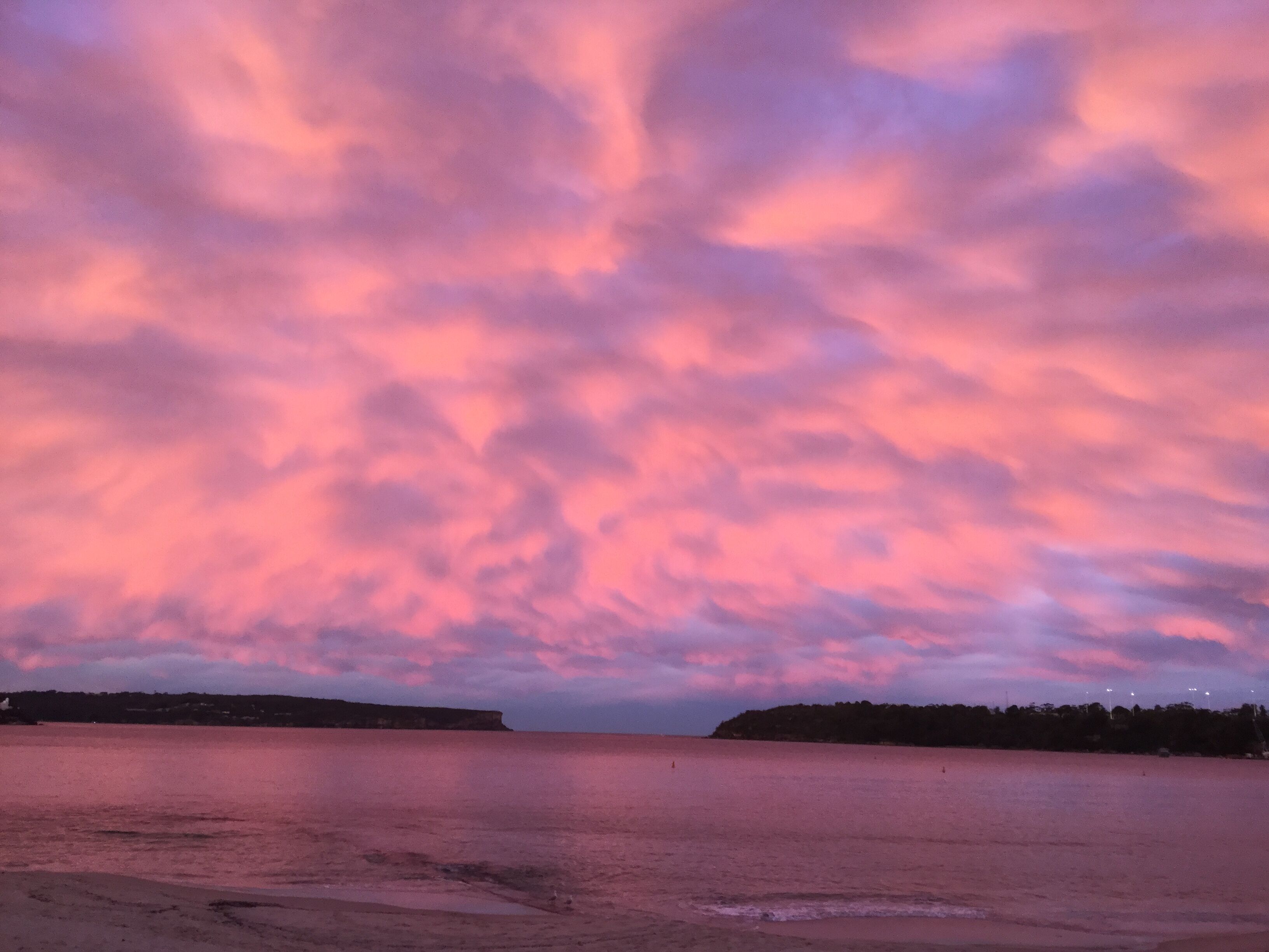 The Oriana - Iconic Luxury Beach Penthouse — image 16