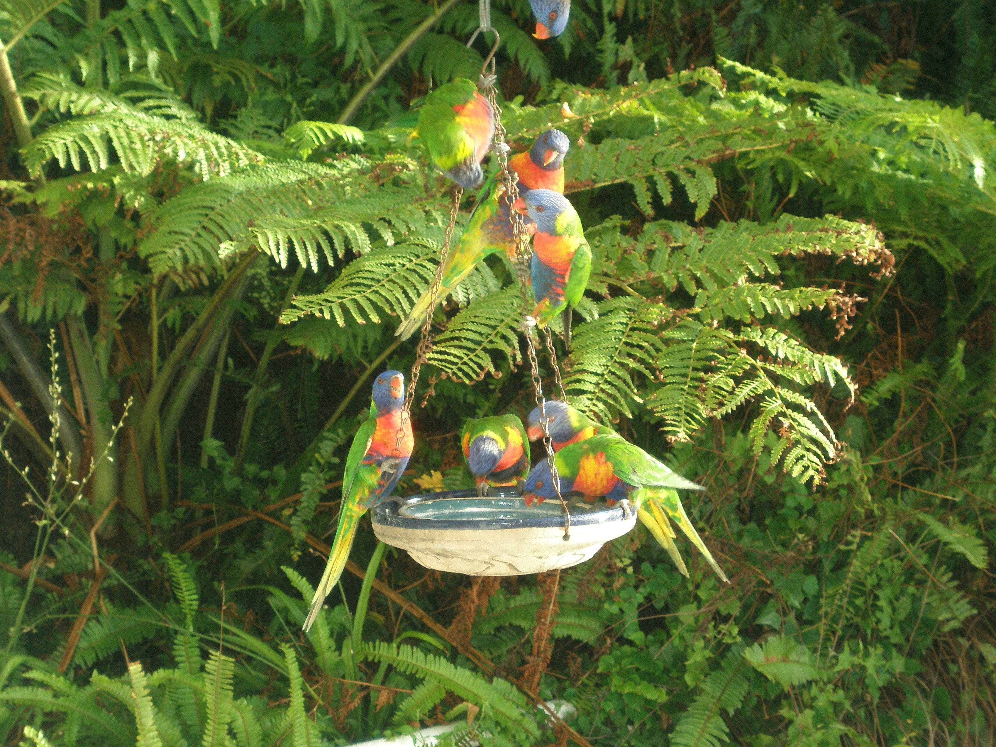 The Oriana - Iconic Luxury Beach Penthouse — image 15